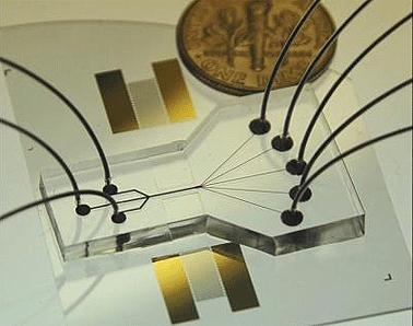acoustic waves to sort cells on a chip