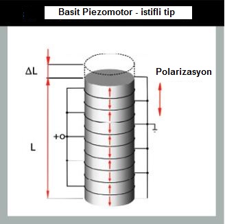 simple piezomotor