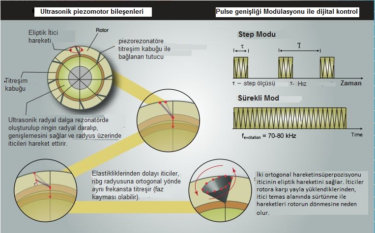 ultrasonik piezomotor